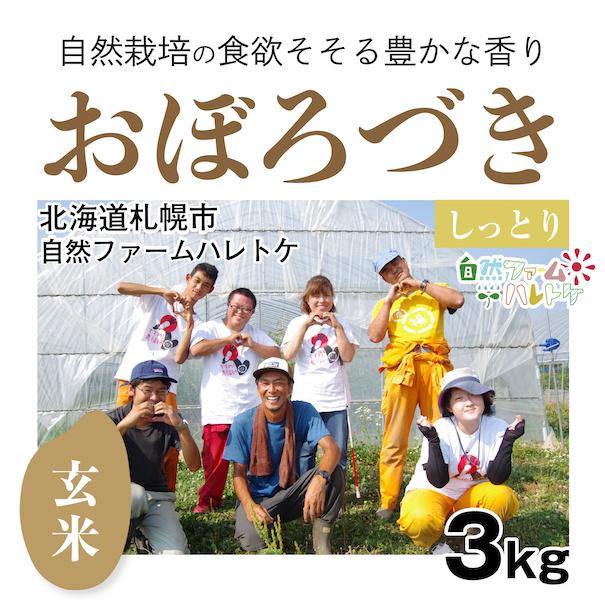 玄米3kg「自然栽培おぼろづき」(北海道)自然ファームハレトケ　令和5年産