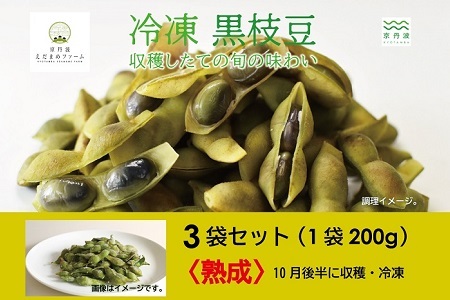 冷凍 丹波黒枝豆 熟成 600g（200g×3パック）( 枝豆 国産 冷凍枝豆 丹波 枝豆 黒枝豆 おつまみ 枝豆 京丹波 枝豆  　[010KY002]