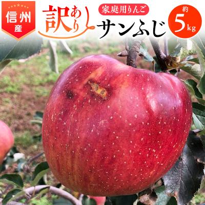 ふるさと納税 南箕輪村 家庭用りんご　サンふじ「訳あり」約5kg セット