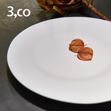 3,co│海洋大圓盤 - 白