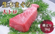 生本マグロ 大トロ 800g（柵どり）