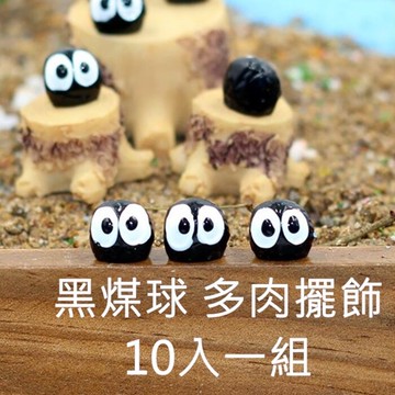 [Hare.D] 多肉 盆栽 黑煤球10入一組 龍貓 造景 植栽 微景觀