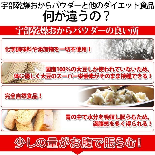 セール中 あさちゃん紹介 おからパウダー 1kg おから パウダー 送料無料 超 微粉 Tポイント消化 paypay