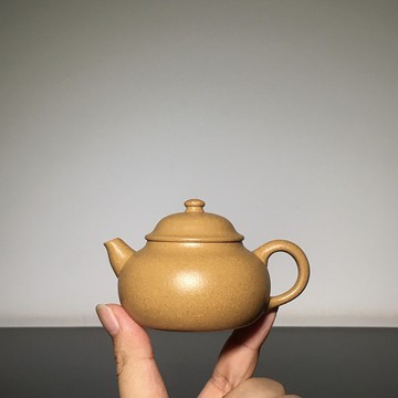 送禮紫砂壺茶壺玉庐 100cc 原矿段泥料 砂感丰富 水色油润 精品小