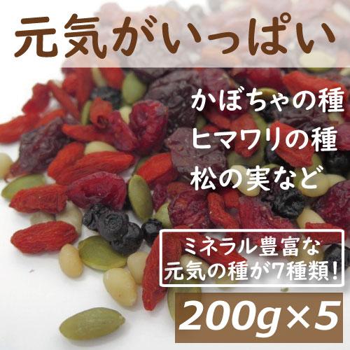 ナッツ 元気がいっぱい 1kg (200gx5)送料無料 (ひまわりの種 かぼちゃの種 クコの実 松の実 クランベリー ワイルドブルーベリー レッドチェリー) グルメ