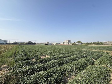 新化1.5分方正農地 幸福買賣｜台南市新化區竹子腳段