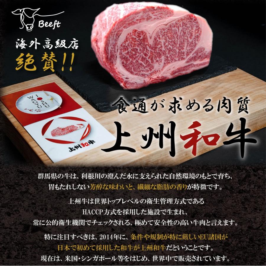 ステーキセット ギフト 牛肉 サーロイン ＆ ヒレ 250g 上州和牛 化粧箱入 黒毛和牛 A4A5ランク 国産牛 ヘレ フィレ お歳暮 送料無料 誕生日 出産内祝い