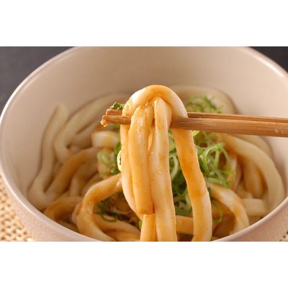 伊勢うどん10食入り（たれ付き 送料無料)