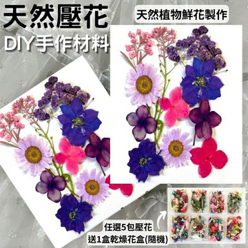 【A-ONE】DIY混合壓花 押花 白菊 乾花樹葉包 壓花真花 植物標本 乾花材料包 書籤DIY