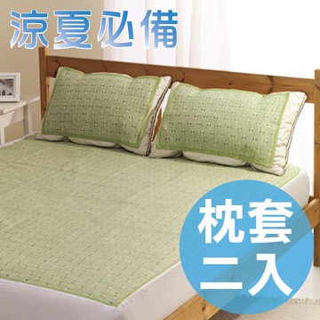 滿天星草本纖維枕墊2入組 /花色隨機