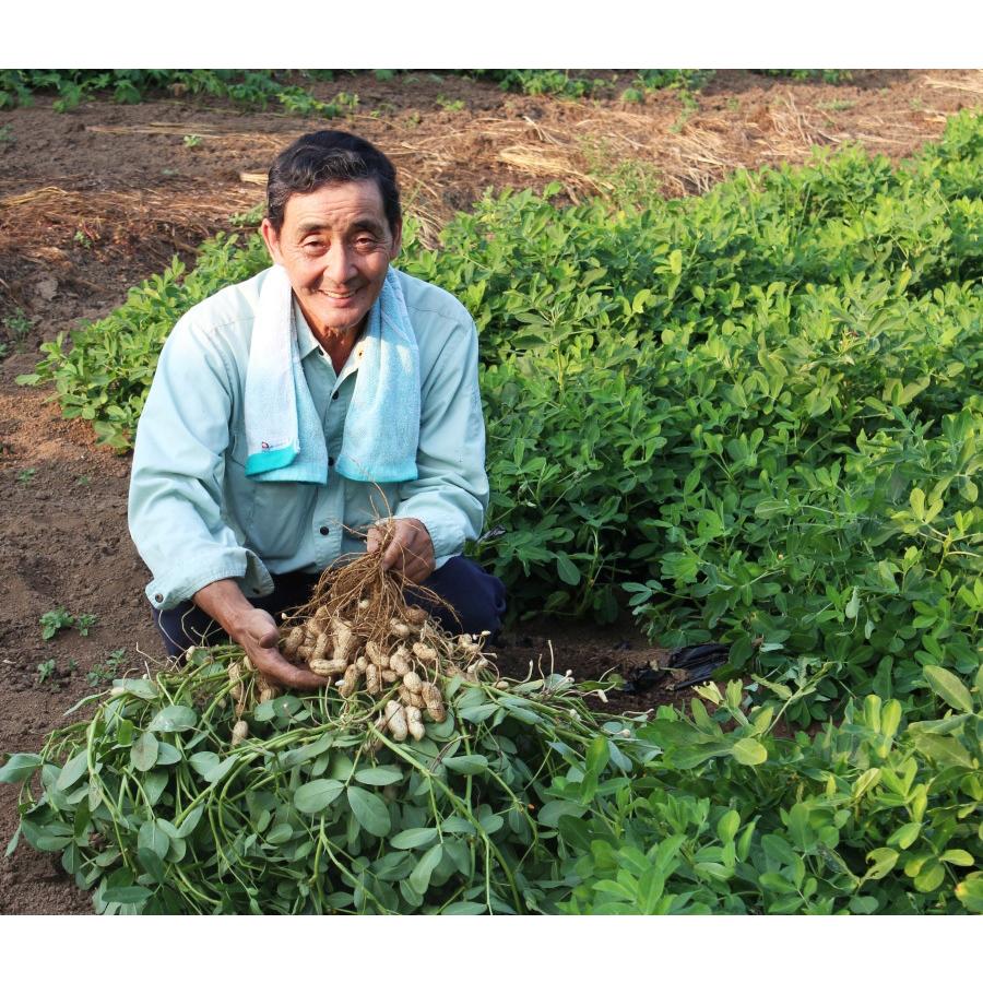 おまかせ野菜セット 5〜7種 旬盛り！地産地消の野菜箱 大分県竹田市  朝採り 道の駅 旬 新鮮 詰め合わせ 九州 季節