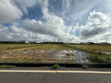 近新屋市區6米路超美農地臨近桃87寶樹路｜桃園市新屋區新屋