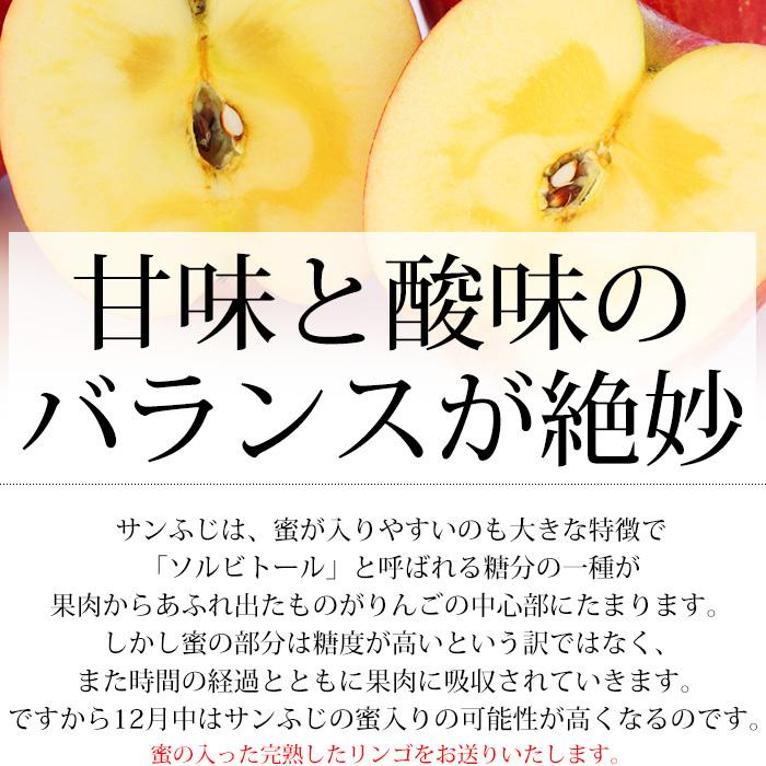 りんご 青森県産 高糖度サンふじ 約3kg 10〜12玉 糖度14度以上