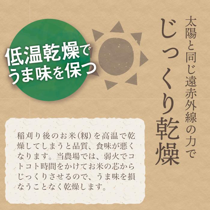 無洗米 新潟県産 新之助 白米 精米 5kg 令和5年産 新米 しんのすけ 5キロ 農家直送 お米