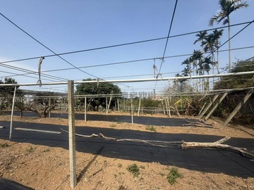 近麗寶VS美光園區✅好地段臨路一般農農地✅出價好談｜台中市外埔區永豐段