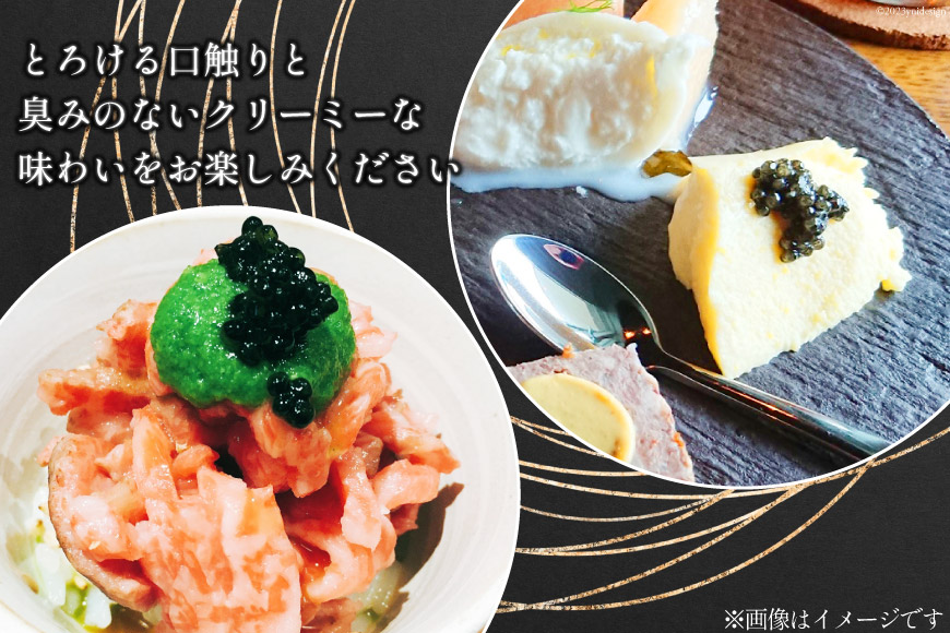 日向キャビア(Hyuga Caviar) 20g(冷凍・フレッシュキャビア) [宮崎キャビア 宮崎県 日向市 452060323]