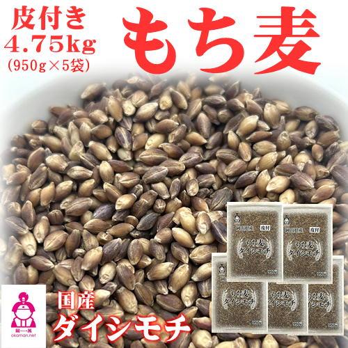 皮付き もち麦 ダイシモチ (950g×5袋) チャック付 岡山県産 送料無料