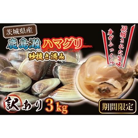 ふるさと納税  期間限定 鹿島灘 ハマグリ 訳あり 3kg 砂抜き済み はまぐり 蛤 わけあり 国産 天然 茨城県産 鹿島灘産 焼.. 茨城県大洗町