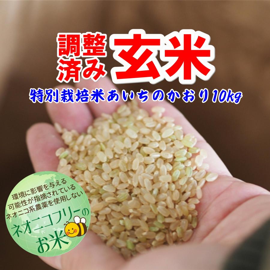 ネオニコフリー 玄米 10kg 令和5年産 特別栽培米 愛知県産あいちのかおり 精米・分搗き無料