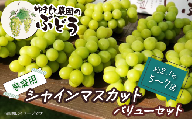  ゆきもと農園 ＜家庭用＞ シャインマスカット バリューセット 約2.1㎏ 5～7房　2024年8月～9月発送