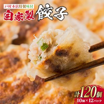 ふるさと納税 日南市 自家製餃子計120個(10個×12パック)