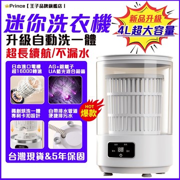 隔日達🔥【自動脫烘乾&升級4升】迷你洗衣機 小型洗衣機 小洗衣機 内衣洗衣機 内褲洗衣機 隨身USB充電洗衣杯 便攜洗脫