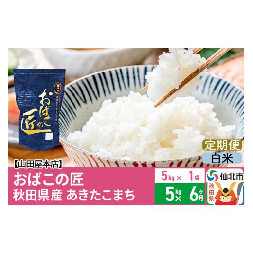 ふるさと納税 秋田県 仙北市 《定期便6ヶ月》令和5年産 仙北市産 おばこの匠 5kg×6回 計30kg 秋田県産あきたこまち 秋田こまち お米 6か月 6ヵ月 6カ…