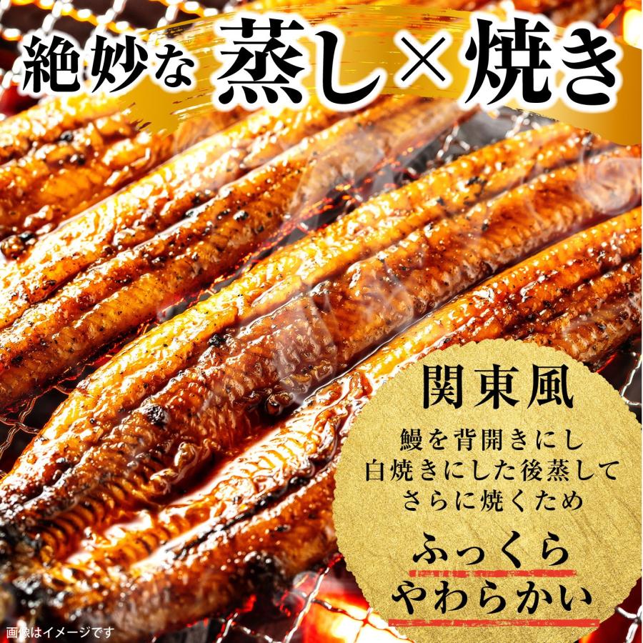 送料無料 国産うなぎ2枚国産うなぎカット蒲焼き