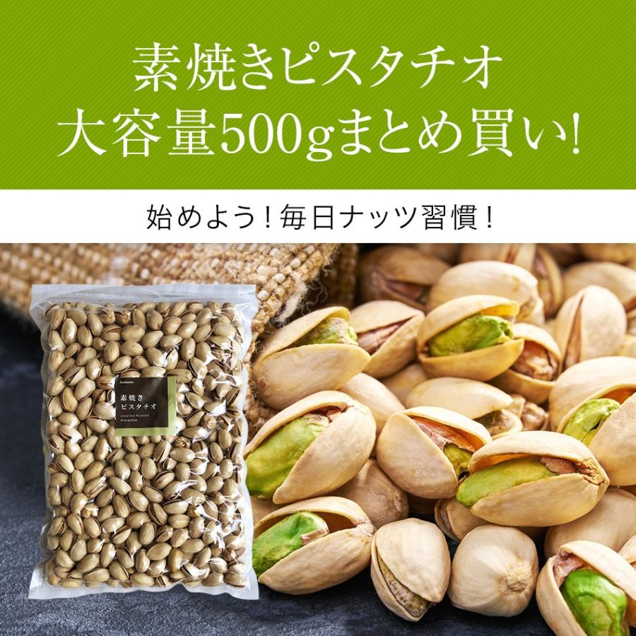 素焼き ピスタチオ 500g お買い得用 まとめ買い ネコポス発送 おつまみ ギフト