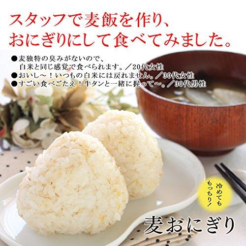 もち麦 国産 900g×6袋 栃木県産 もち絹香 雑穀 チャック付