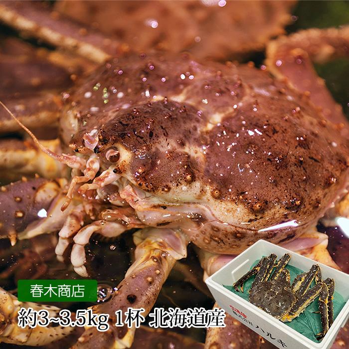 かに 北海道産 天然活タラバガニ 約3kg〜3.5kg 1杯