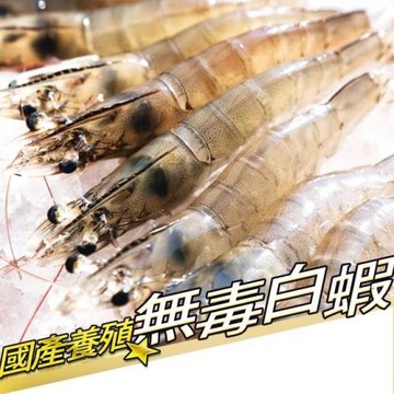 【RealShop 真食材本舖】國產養殖無毒白蝦 特大隻/250g/約10-13隻 6入組(餵養乳酸飼料 絕不用藥)