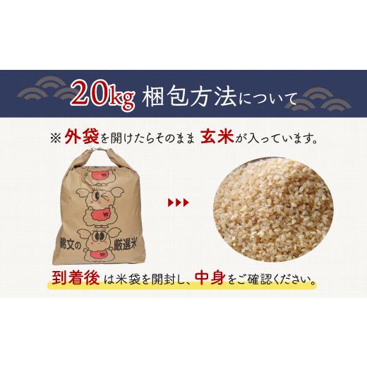 ふるさと納税 千葉県 大網白里市 令和5年産 千葉県産エコ米「コシヒカリ」玄米20kg（20kg×1袋） お米 20kg 千葉県産 大網白里市 コシヒカリ エコ米 …