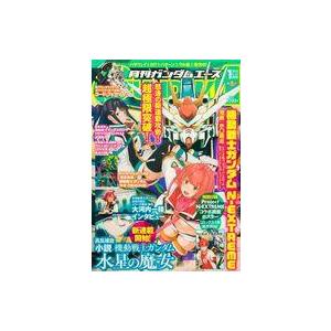 中古アニメ雑誌 付録付)ガンダムエース 2023年1月号 No.245