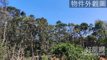 新北三芝區芝蘭別墅旁完整大筆農牧用地｜新北市三芝區芝蘭段