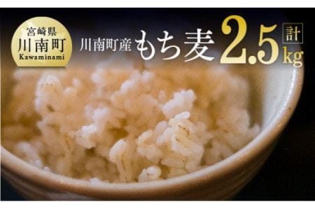 令和5年産 もち麦 2.5kg（500g×5袋）