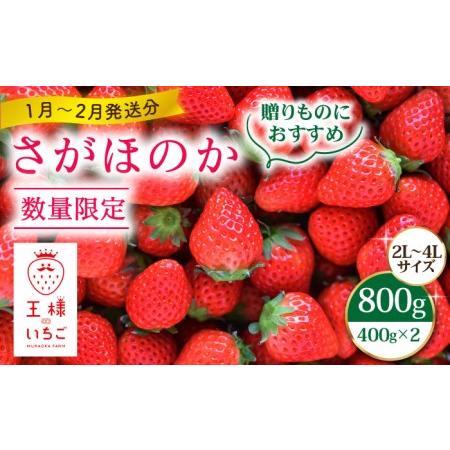 ふるさと納税 王様のいちご さがほのか 800g（400g×2箱）フルーツ 果.. 佐賀県江北町