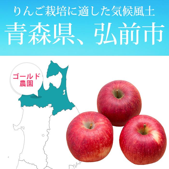 りんご 青森県産 サンふじ 訳あり 約2kg 5〜9玉 ファーム