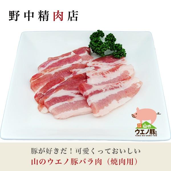 豚肉 焼肉用 豚バラ肉 山のウエノ豚 300g（1〜2人分）