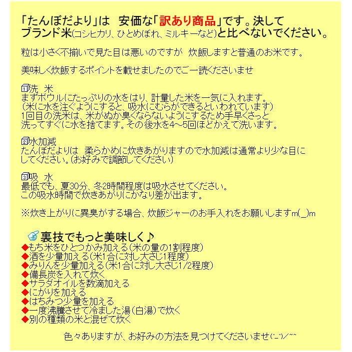 米10kg 送料無料 白米 安い 訳あり ブレンド米『国内産たんぼだより白米10kg』