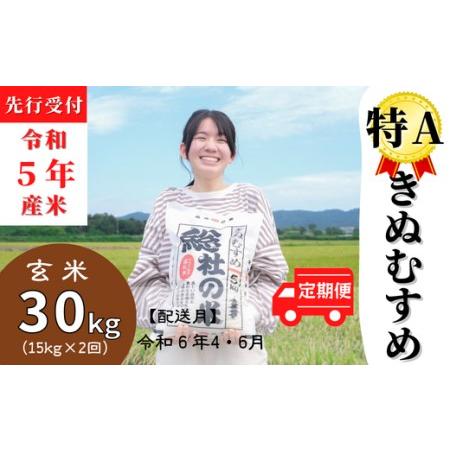 ふるさと納税 特Aきぬむすめ30kg定期便（15kg×2回）岡山県総社市産〔令和6年4月・6月配送〕 23-025-016 岡山県総社市