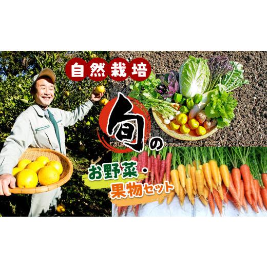 ふるさと納税 熊本県 苓北町  旬のお野菜・果物セット