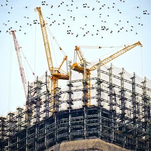 Structure: Building the Frame for Business Growth