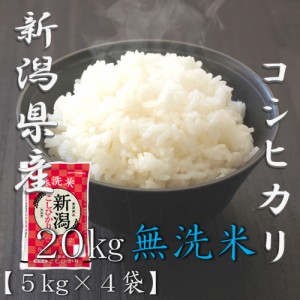 米 お米 令和5年産 無洗米 新潟県 コシヒカリ 5kg×4袋 合計 20kg