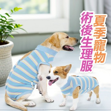 🌈愛寵✨狗絕育服 寵物防舔衣 術后康復服 術后服 💡狗狗衣服 康復斷奶護理 生理服 預防皮膚感染
