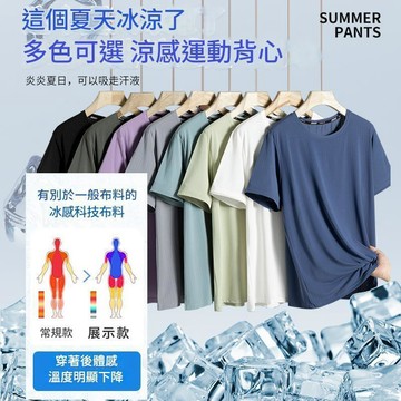 【台灣現貨🔥M-6XL】排汗衫 涼感上衣 素T 透氣網眼 男女同款 涼感衣 透氣速乾衣 圓領上衣 素面 寬鬆T恤