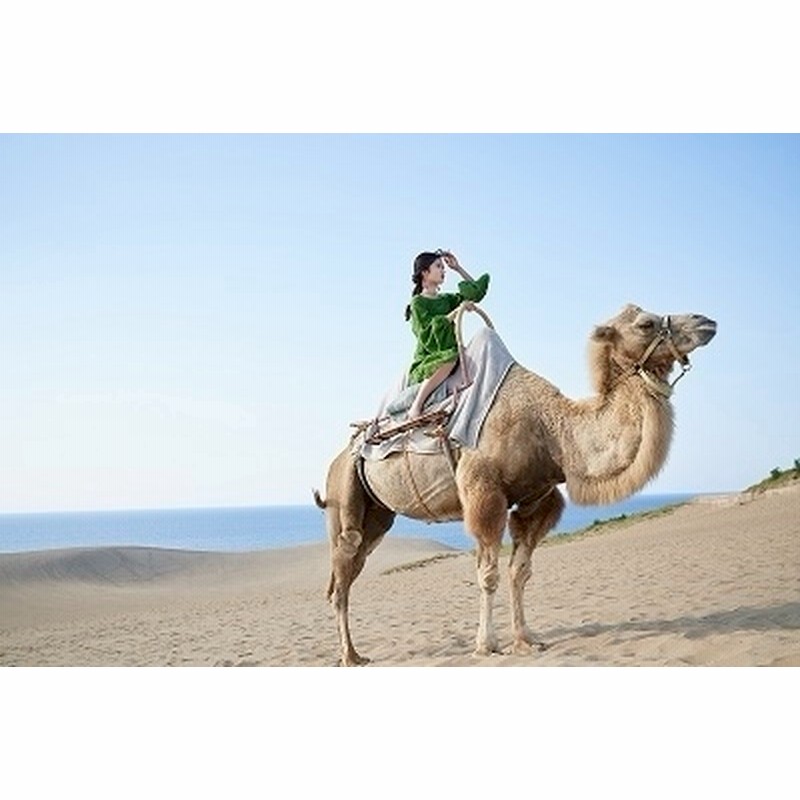 SALE】乃木坂46 寺田蘭世さん掲載ページ（ポスターサイズ）#3397