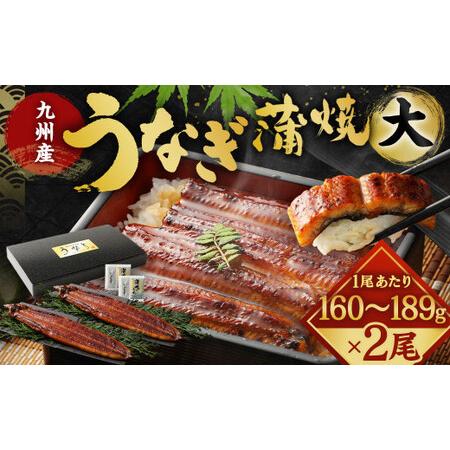 ふるさと納税 九州産 うなぎ 蒲焼 大 2尾 (1尾あたり160〜189g) 福岡県北九州市