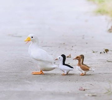 動物模型 羽毛工藝品 仿真鴨 鴨子大鴨 舞臺場景擺件攝影道具玩具