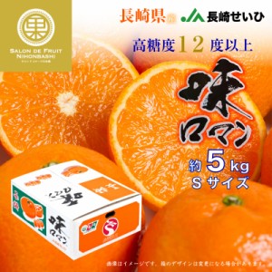 [予約 2024年1月1日必着] 味ロマン みかん 約 5kg Sサイズ 長崎県 JA長崎せいひ 高糖度 長崎 ミカン 高級 産地箱 お正月必着指定 お年賀